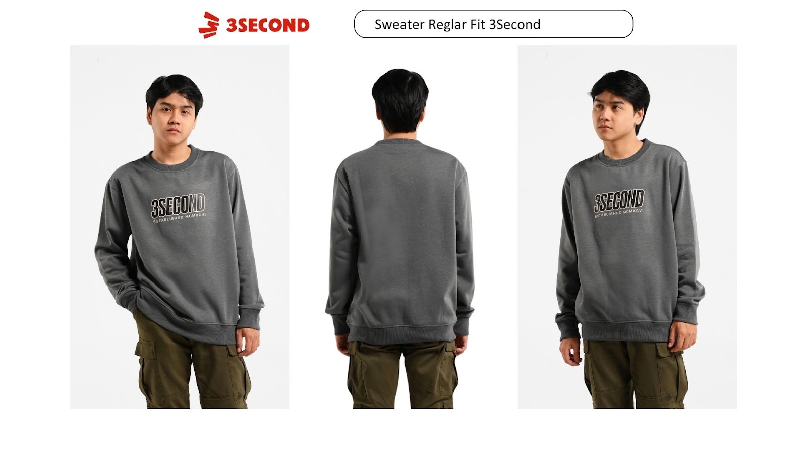 Sweater Regular Fit 3Second