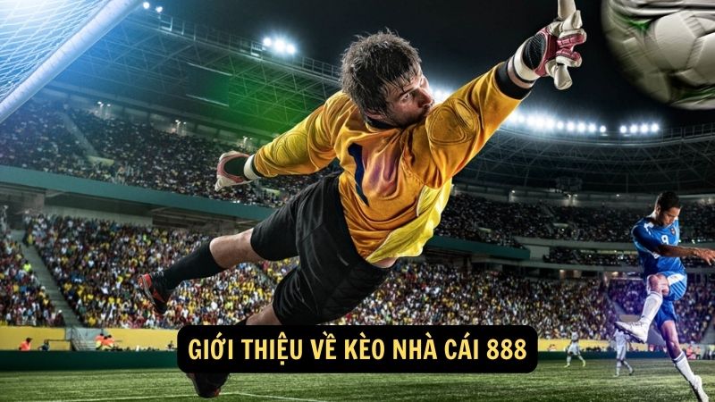 Giới thiệu về kèo nhà cái 888