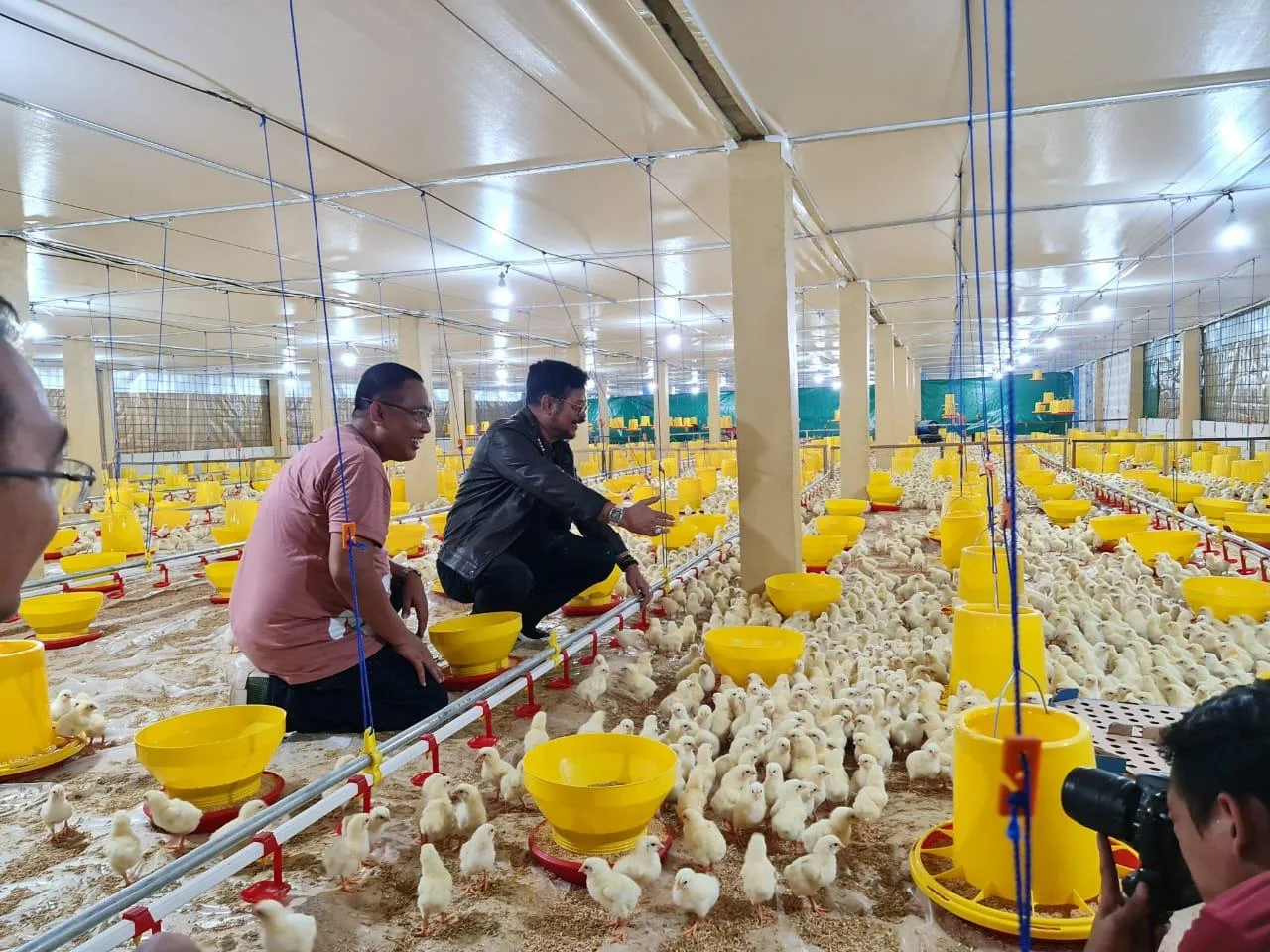 Kabupaten Gowa Jadi Lokasi Pengembangan Peternakan Ayam Broiler -