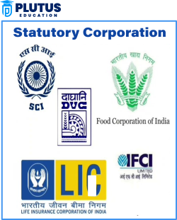 statutory corporation examples
