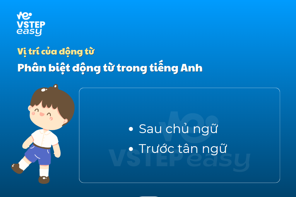 Vị trí động từ