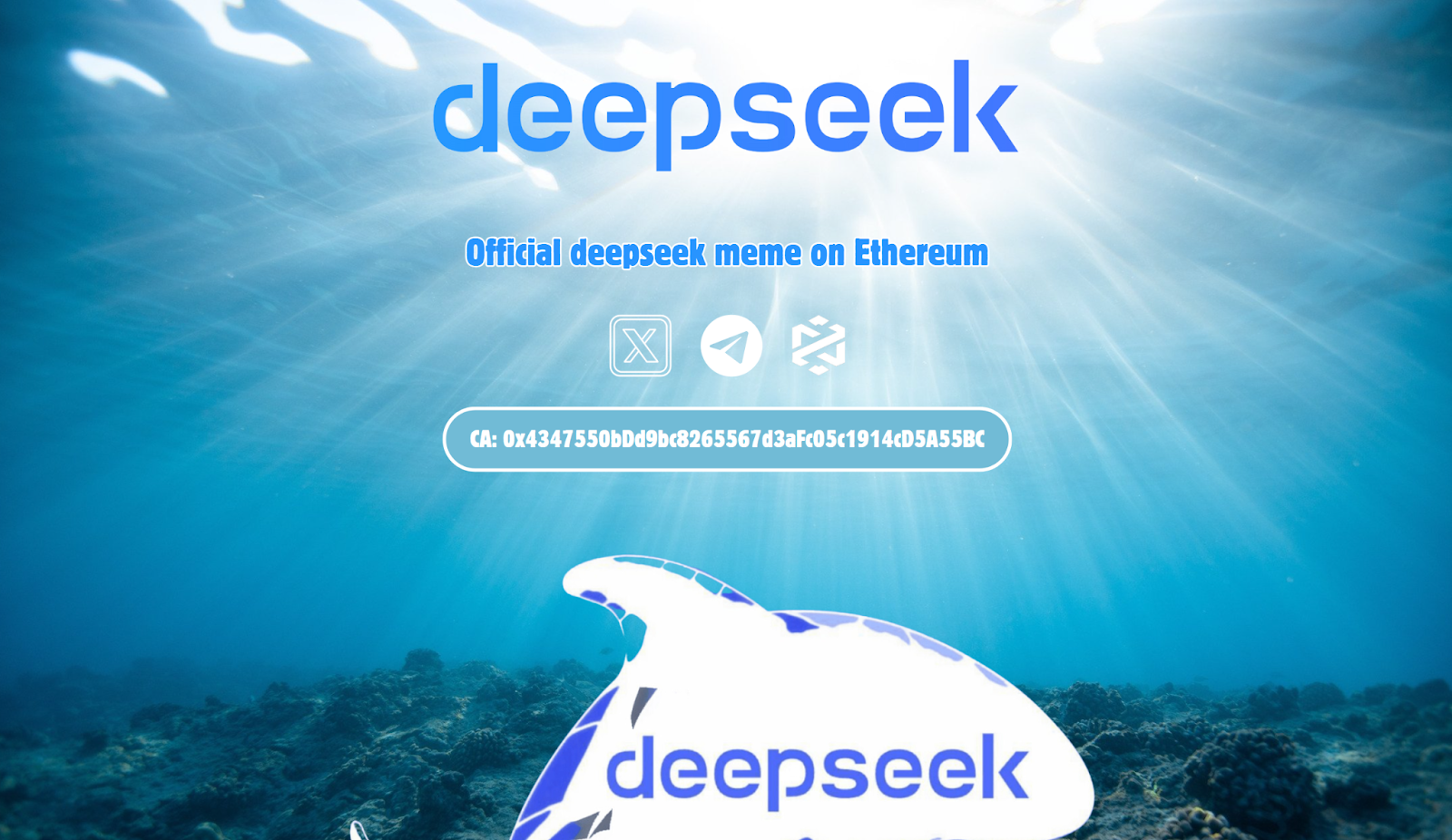 DeepSeek new crypto homepage