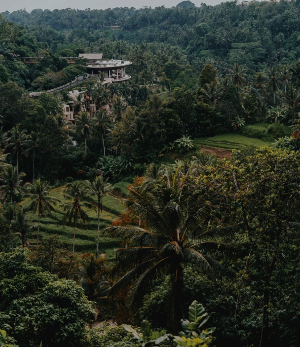 The Sayan House at ubud bali