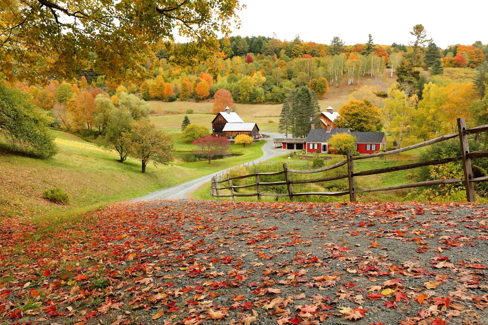 autumn farm barn