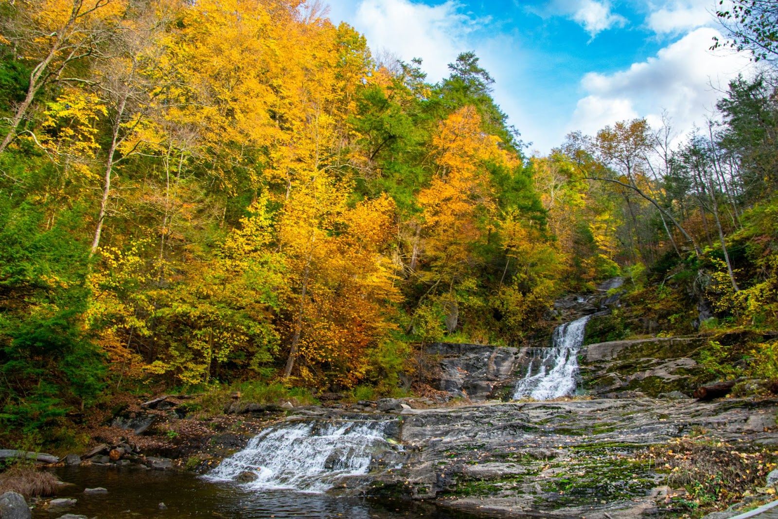 Fall leaves and waterfall