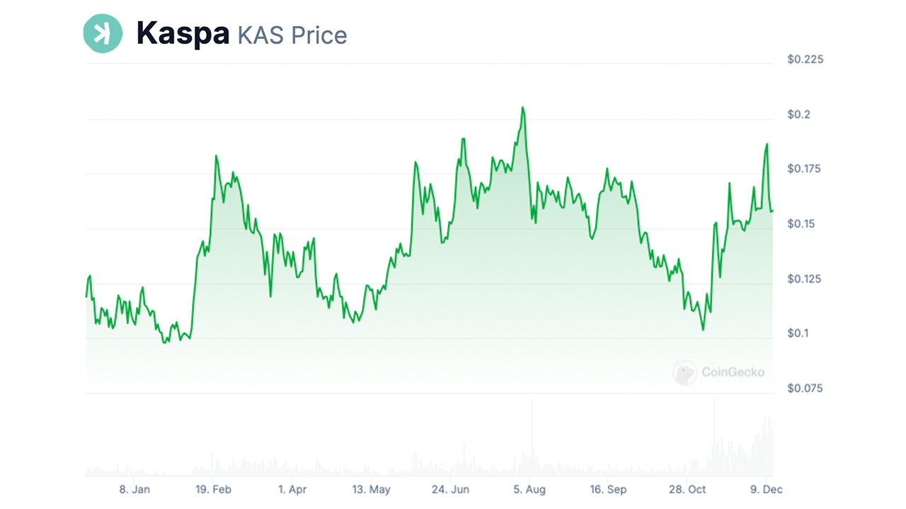 Kaspa Price chart highlights the KAS price fluctuations and volatility over the last 12 months