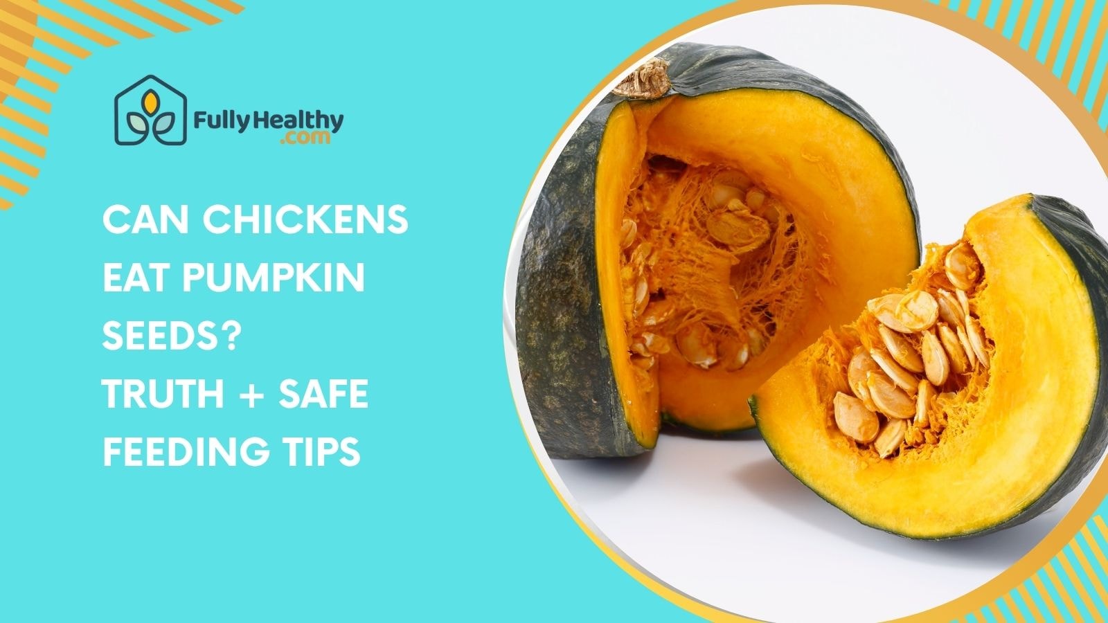 Can Chickens Eat Pumpkin Seeds? Truth + Safe Feeding Tips