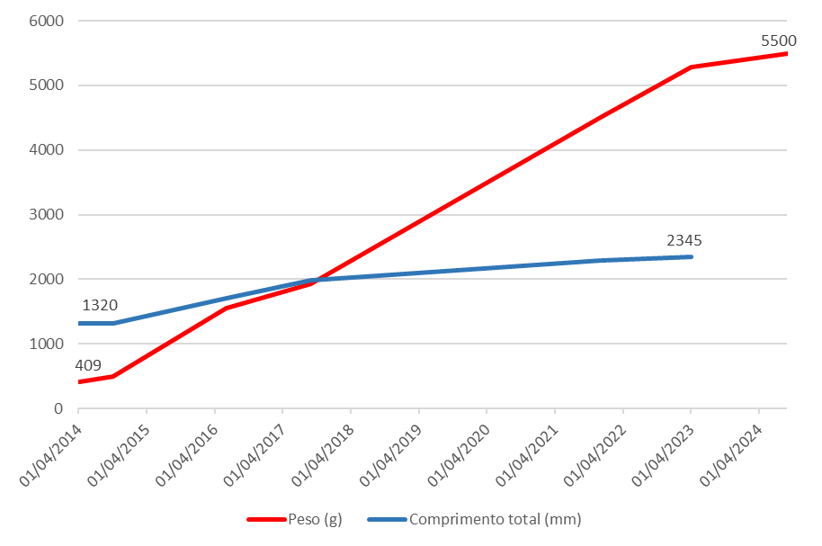 Gráfico, Gráfico de linhas

Descrição gerada automaticamente