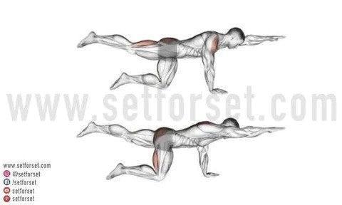 good exercises for the erector spinae