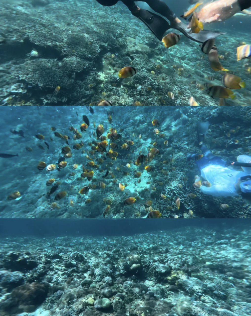 snorkeling at nusa penida bali