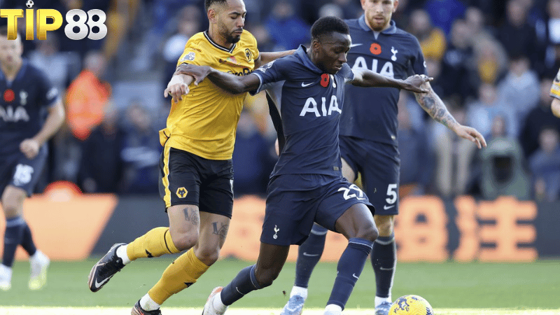 Lịch sử đối đầu Wolves vs Tottenham