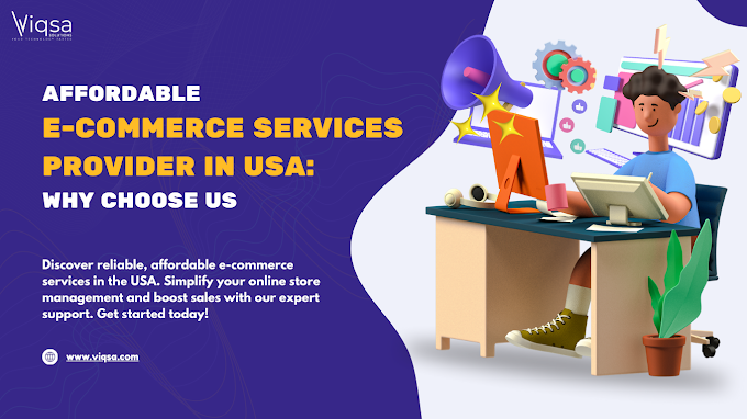 Affordable E-Commerce Services Provider in USA