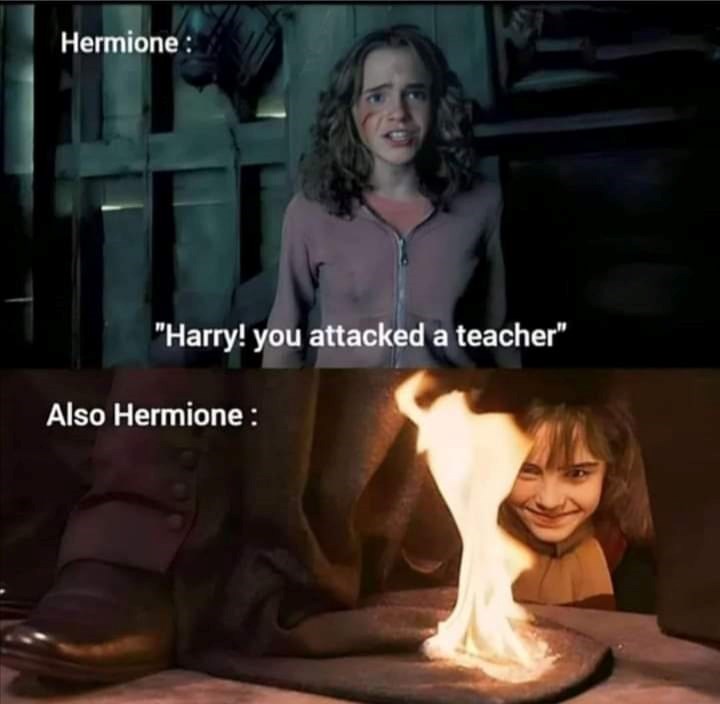 Hermione: "Harry! you attacked a teacher" Also Hermione: