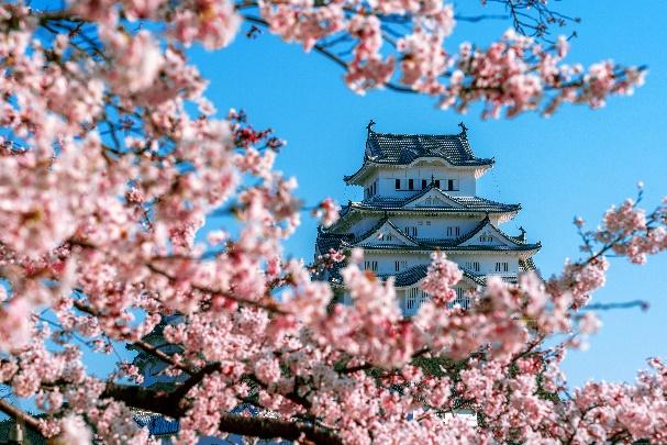 one place to visit in japan