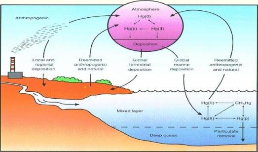 Diagram of a sea surface with text and images

Description automatically generated with medium confidence