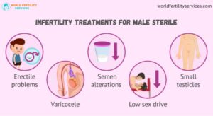 Infertility Treatments For Male Sterile