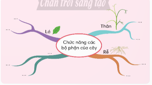 CHỦ ĐỀ 7:  RÈN LUYỆN TƯ DUY KHOA HỌC VÀ TỰ LỰC THỰC HIỆN NHIỆM VỤTUẦN 26SINH HOẠT DƯỚI CỜĐố vui khoa họcCâu 1: Tham gia trò chơi đố vui về cuộc sống quanh em.Đáp án chuẩn:1. Cong cong như thể cây cungTam màu, ngũ sắc lung linh lạ thường?Đáp án: Cầu vồng2. Hằng hà sa sốKhi có khi không?Đáp án: Ngôi saoCâu 2: Nghe nhận xét và tuyên dương.Đáp án chuẩn:Học sinh nghe nhận xét và tuyên dương những bạn có câu trả lời đúng.HOẠT ĐỘNG GIÁO DỤC THEO CHỦ ĐỀHình thành thói quen tư duy khoa họcHoạt động 1. Tham gia trò chơi đố vui về sự vât, hiện tượngCâu 1: Lớp chia làm hai đội chơi, mỗi đội chuẩn bị sẵn các câu đố về sự vật, hiện tượng xung quanh ta.Đáp án chuẩn: Học sinh tự chia đội để tham gia trò chơi. Ví dụ: Cong cong như thể cây cungTam màu, ngũ sắc lung linh lạ thường?Đáp án: Cầu vồngCâu 2: Mỗi đội lần lượt đưa ra câu đố để đội kia trả lời . Đáp án chuẩn:Không ai chọc mà đui? Đáp án: Buổi tốiKhông sơn mà đỏ? Đáp án:  Mặt trờiVừa bằng cái nong, cả làng đong chả hết? Đáp án : Cái giếngCâu 3: Chia sẻ về cách để em tư duy trả lời câu hỏi. Đáp án chuẩn:Dựa vào các sự vật, hiện tượng thực tế mà mình quan sát được và sự suy luận.Hoạt động 2. Thể hiện tư duy khoa học của em.Câu 1: Đặt những câu hỏi cho sự vật, hiện tượng xung quanh mà em quan sát được. Đáp án chuẩn:- Câu hỏi về mưa:Mùa nào có mưa kèm sấm chớp. Lợi ích, hậu quả của mưa là gì?Câu 2: Lập sơ đồ tư duy về mối liên hệ, quan hệ giữa các yếu tố của sự vật, hiện tượng cho câu Đáp án chuẩn mà em đưa ra. Đáp án chuẩn:Câu 3: Chia sẻ sơ đồ tư duy. Đáp án chuẩn:Học sinh chia sẻ sơ đồ tư duy SINH HOẠT LỚPTrò chơi  Nếu...thì...