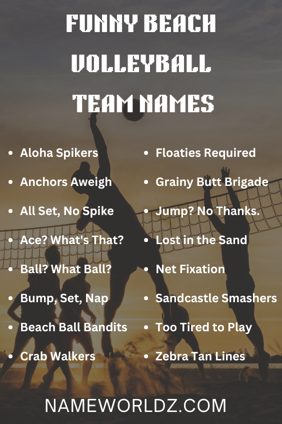 Funny Beach Volleyball Team Names