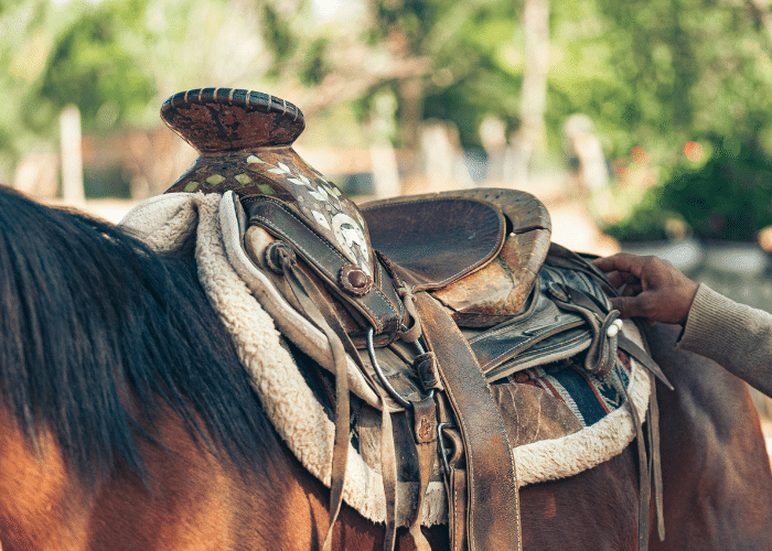 How to Fit a Saddle to a Horse