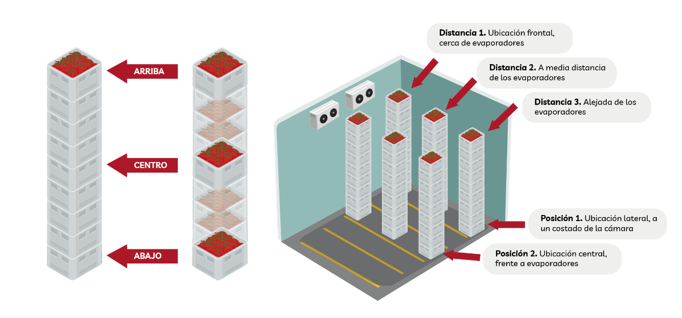 DiagramaDescripción generada automáticamente