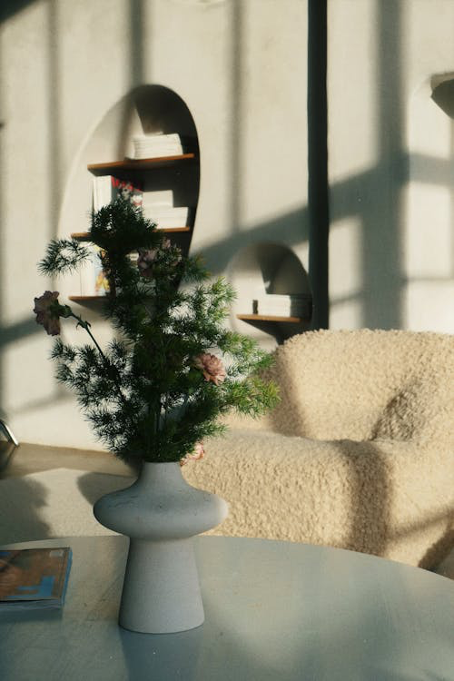 A plant in a vase next to a couch