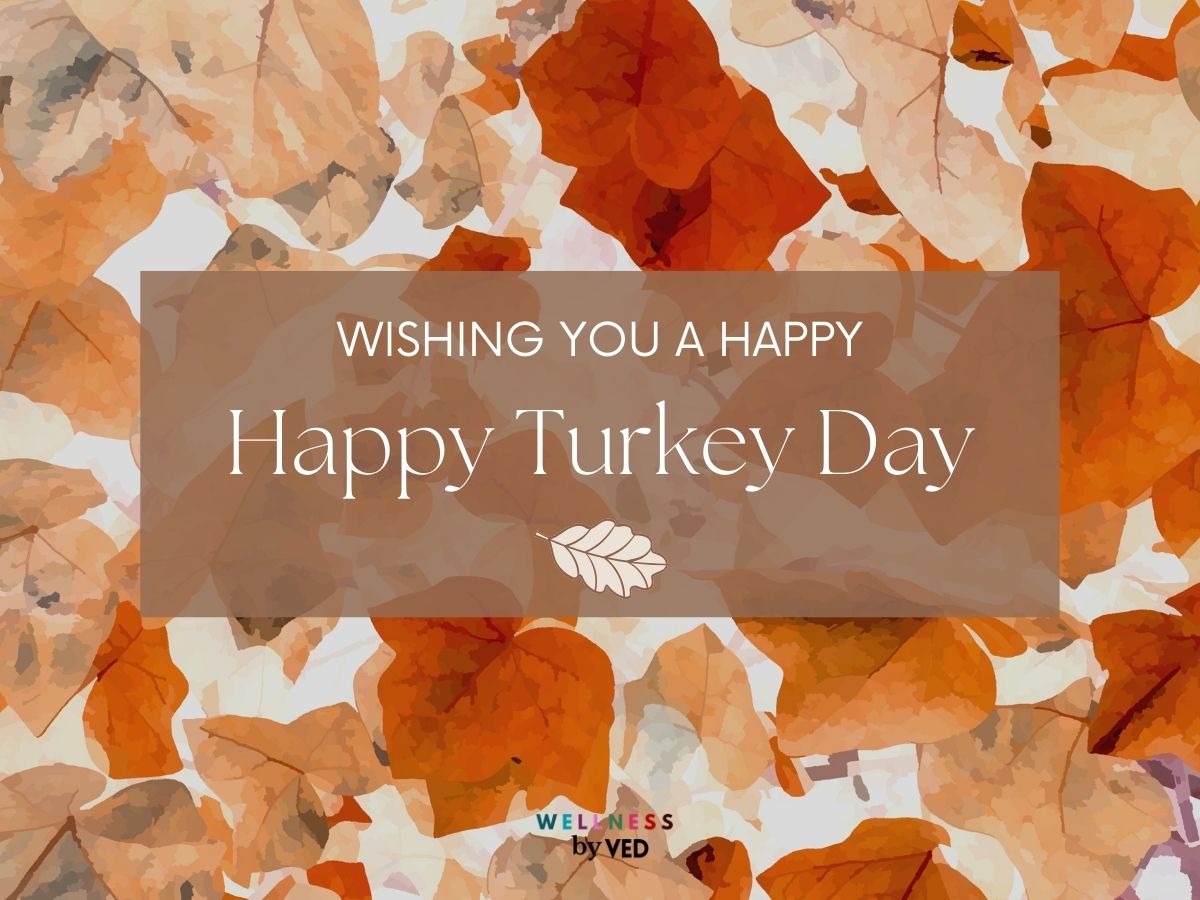 happy turkey day