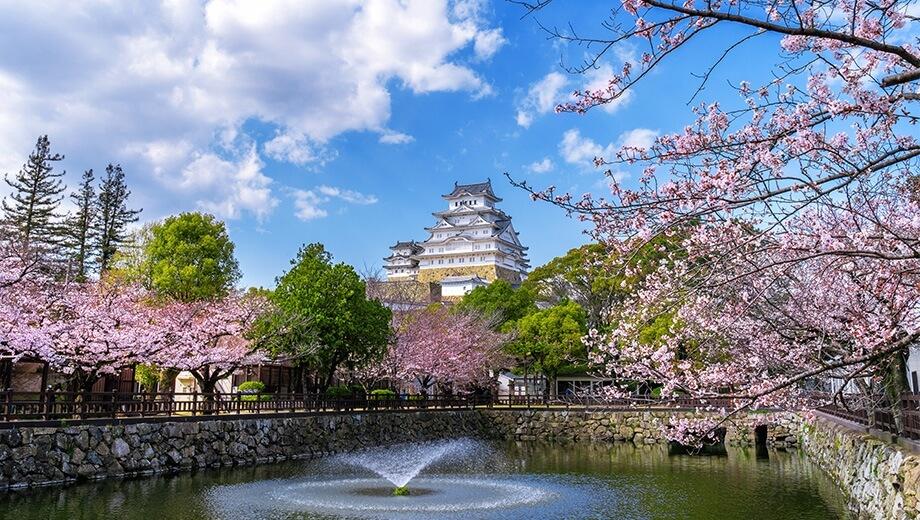 Top 5 Must-Visit Destinations in Japan This January 2025