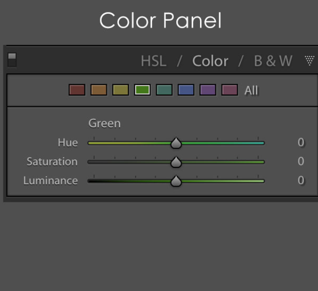 color panel lightroom 