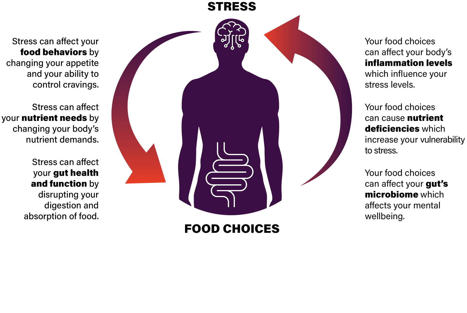 Stress is text in the image of a “brain” at the top of the model, and Food Choices is in text in the image of a “gut” at the bottom of the model. Arrows on the left and right sides illustrate motion from stress to food choices and back.   Text down the left side of the model:  Stress can affect your food behaviors by changing your appetite and your ability to control cravings. Stress can affect your nutrient needs by changing your body’s nutrient demands. Stress can affect your gut health and function by disrupting your digestion and absorption of food.  Text down the left side of the model:  Your food choices can affect your body’s inflammation levels which influence your stress levels. Your food choices can cause nutrient deficiencies which increase your vulnerability to stress. Your food choices can affect your gut’s microbiome which affects your mental wellbeing.