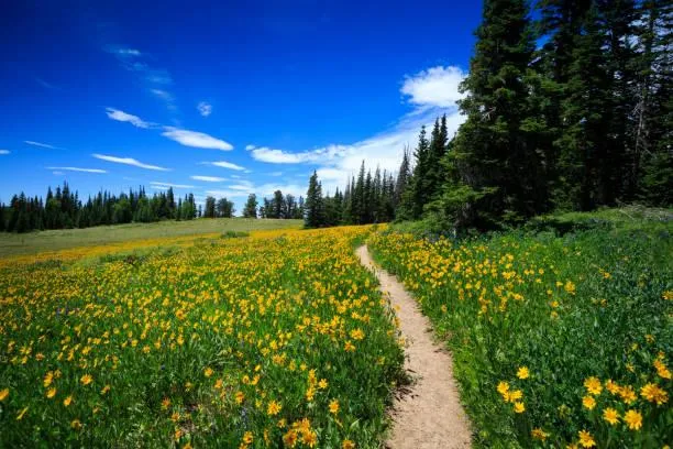 10 Photos That Capture the Spirit of the Outdoors, outdoor photos, nature spirit, nature, landscape, free nature, scenic spirit