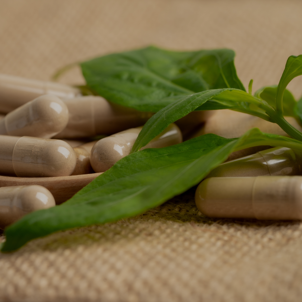 capsules with herbs