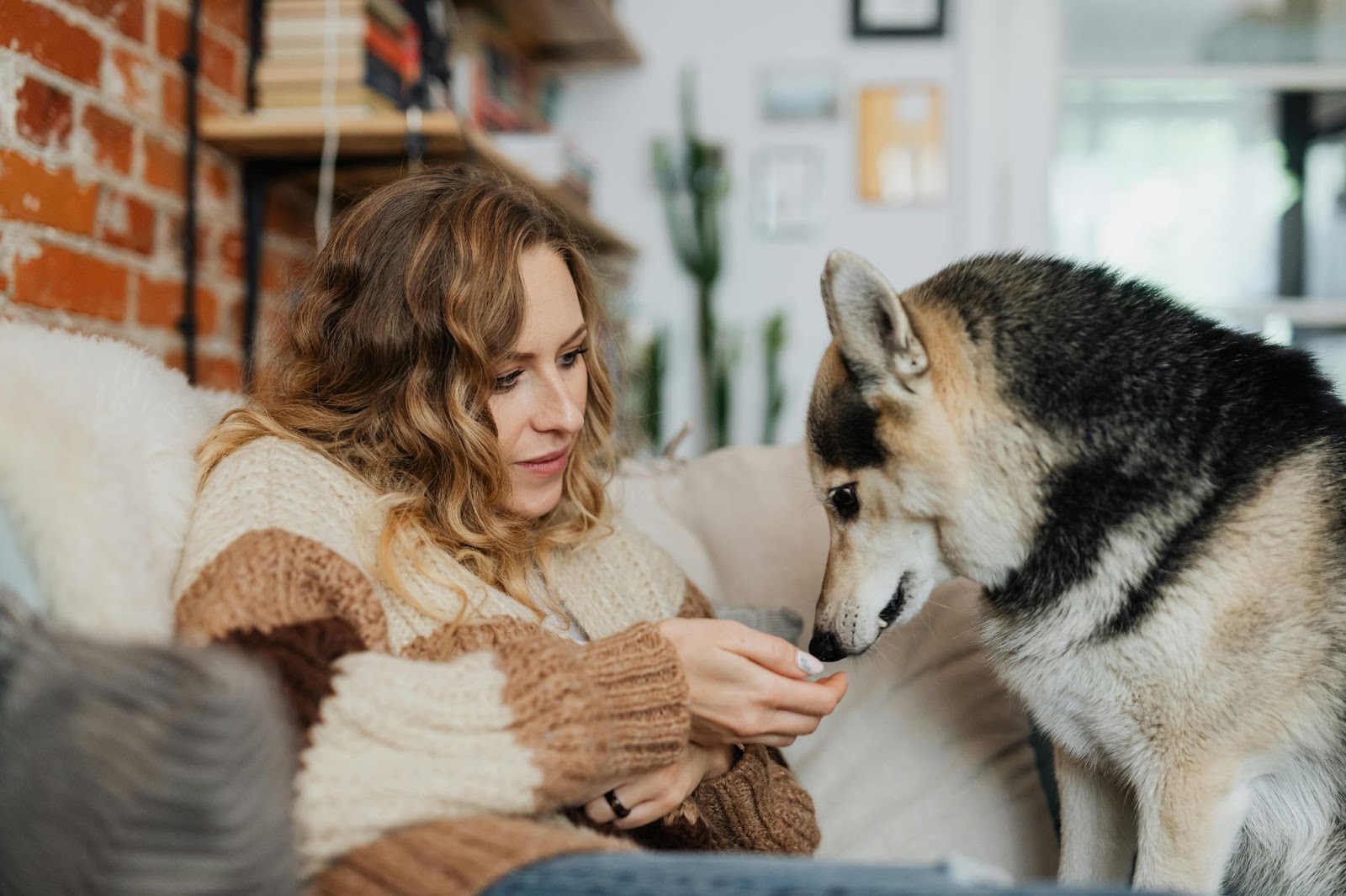 Female Owner with her Dog sitting on a Sofa