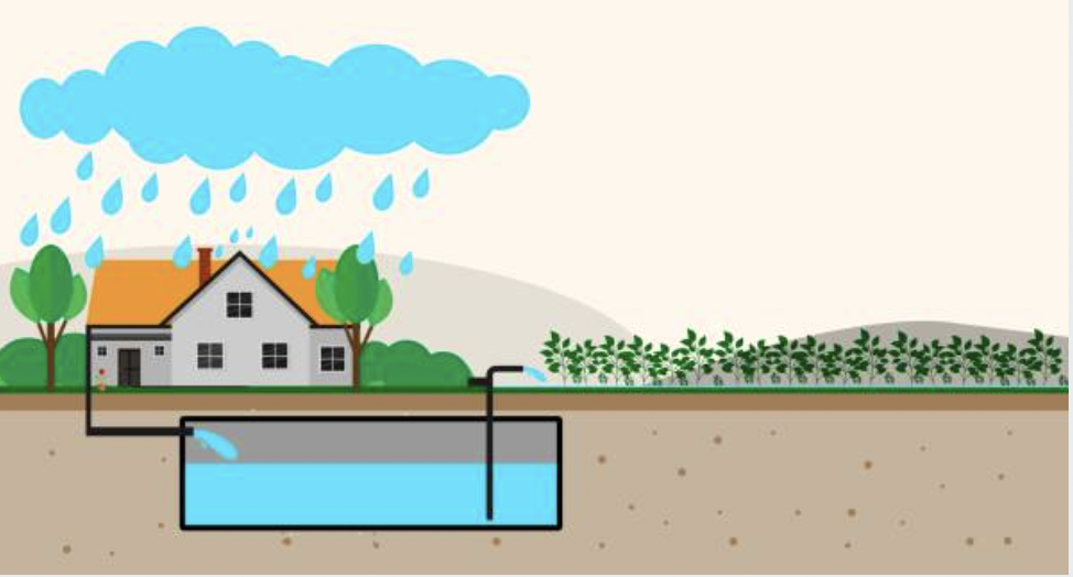 Rainwater Harvesting