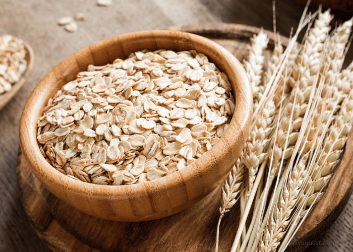 What are Oats for Horses?