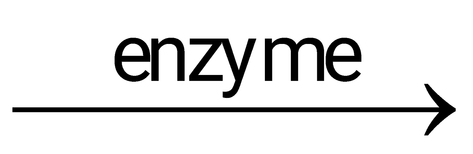 Tech12h