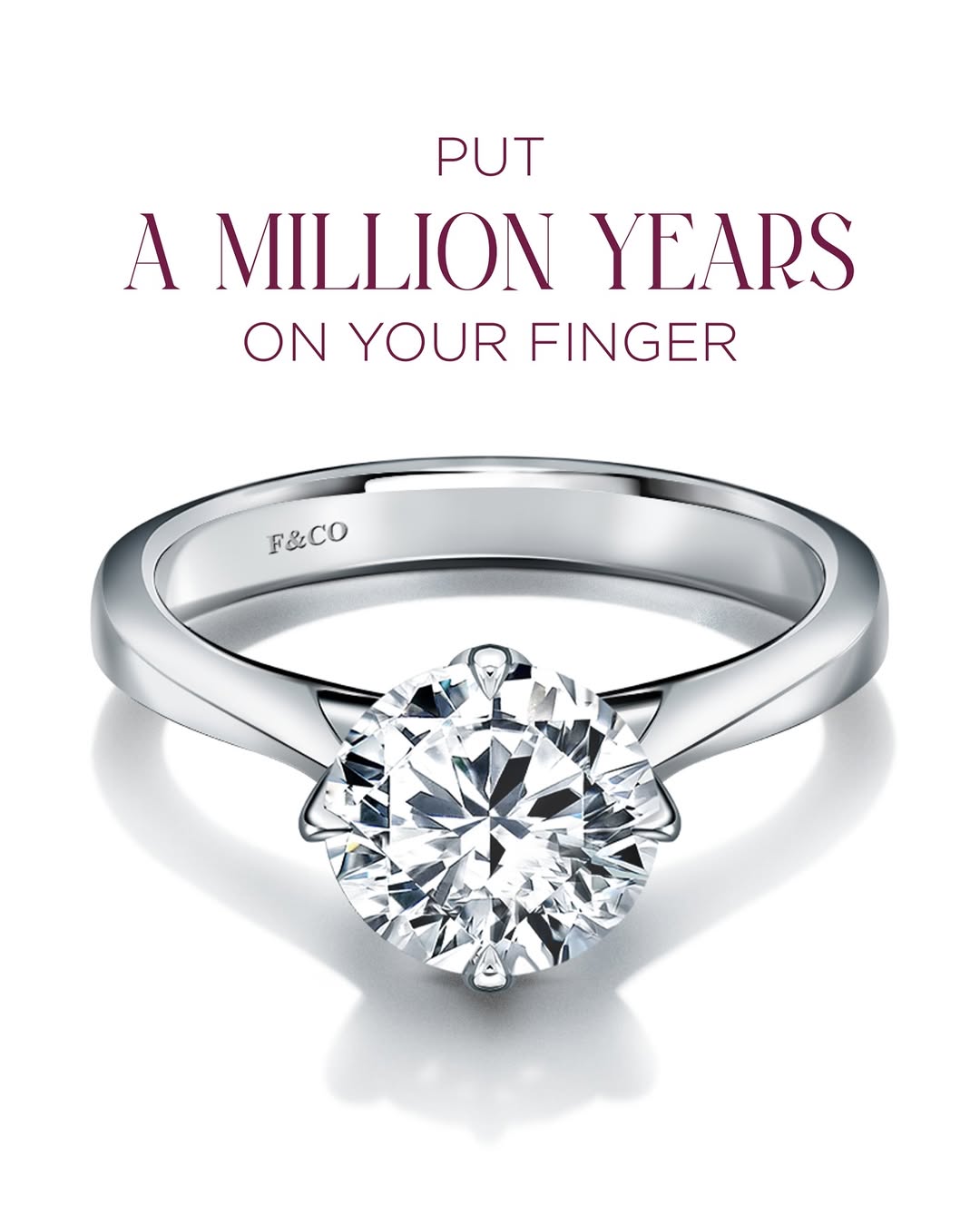 Campaign Frank & co. Natural Brilliance