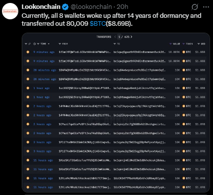 Bitcoin whale move