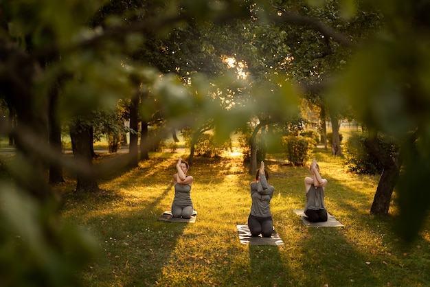 The Healing Power of Nature Retreats