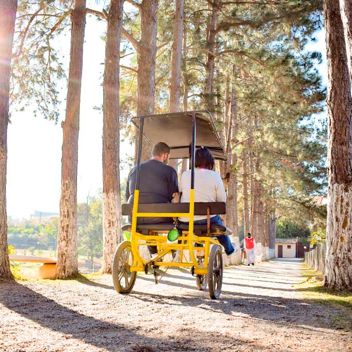 Casal apreciando um passeio de bike com cobertura em um parque repleto de árvores, sob o céu azul, em um dia ensolarado e agradável.