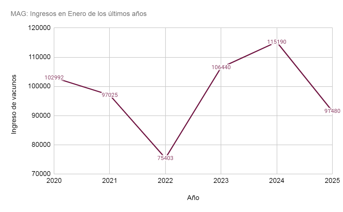 Se disparó el precio de la hacienda y no se descarta un impacto en las carnicerías