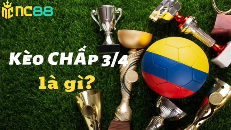 Nhiều người chơi mới quan tâm đến kèo 3/4 là gì?