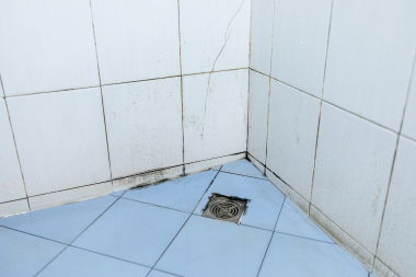 signs its time for a bathroom remodel black mold in shower tile grout custom built michigan