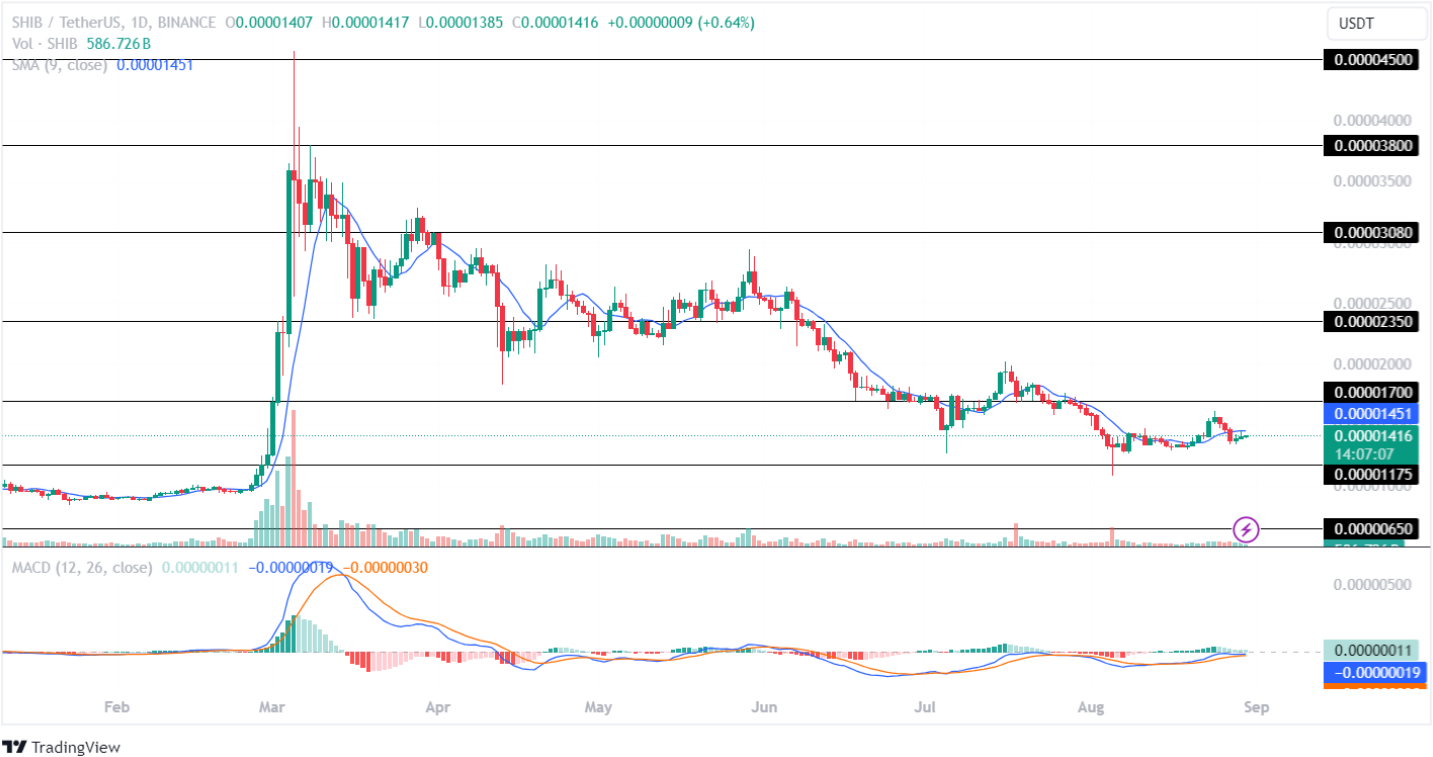 SHIB Price Targets September 2024