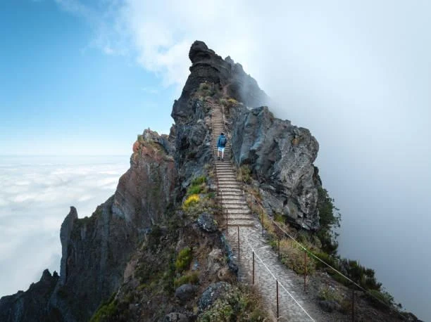 Serene Nature Scenes You Can’t Look Away From, serene scenes, relaxing photos, nature, landscape, calming visuals, tranquil vibes