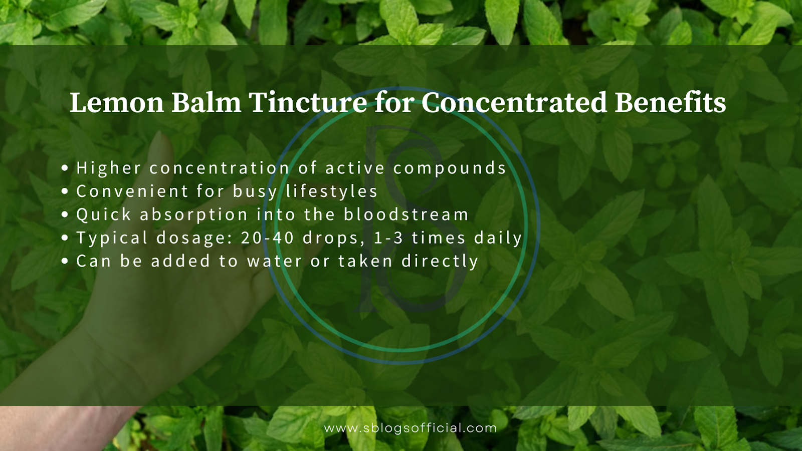 Explaining How to Take Lemon Balm for Weight Loss, by defining lemon balm tincture for concentrated benefits. 