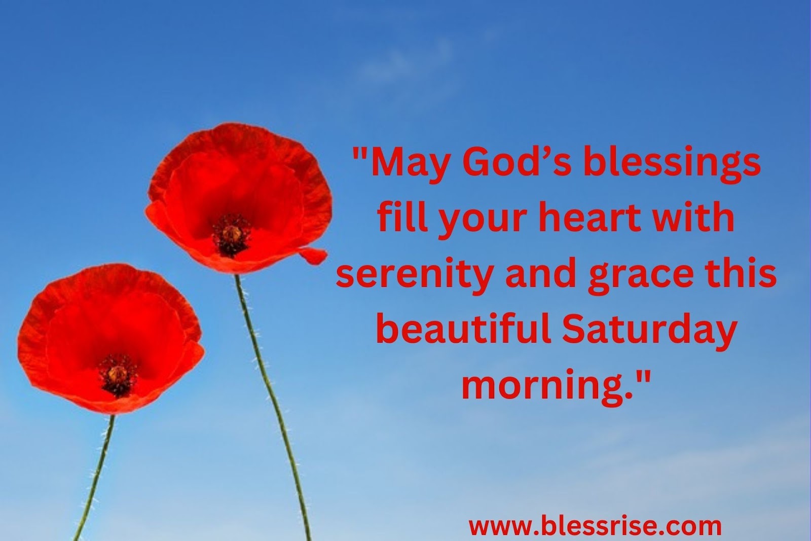 Weekend Blessings