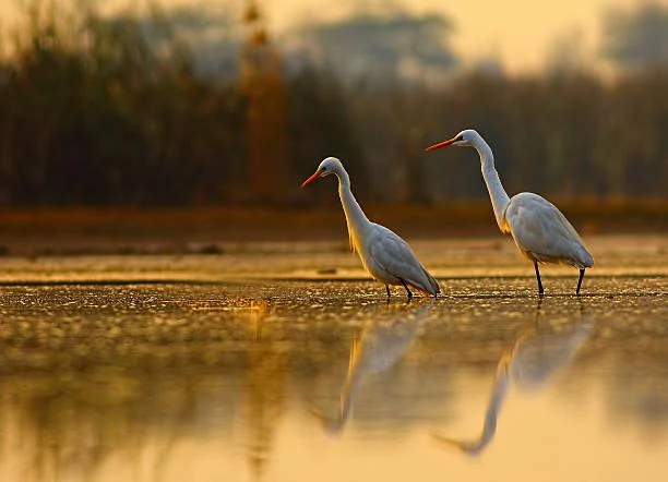 10 Places That Show Nature’s Grace, graceful nature, elegant landscapes, nature, landscape, smooth scenery, soft visuals