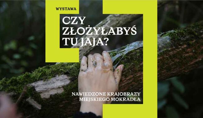 Выставка «Отложили бы вы здесь яйца?» Призрачные пейзажи городских водно-болотных угодий