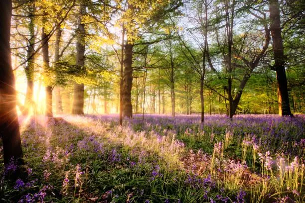 The Quiet Side of Nature in 15 Elegant Images, elegant nature, quiet landscapes, nature, landscape, peaceful world, gentle views