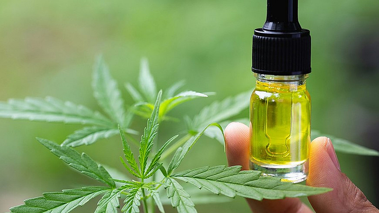 microdosing cbd
